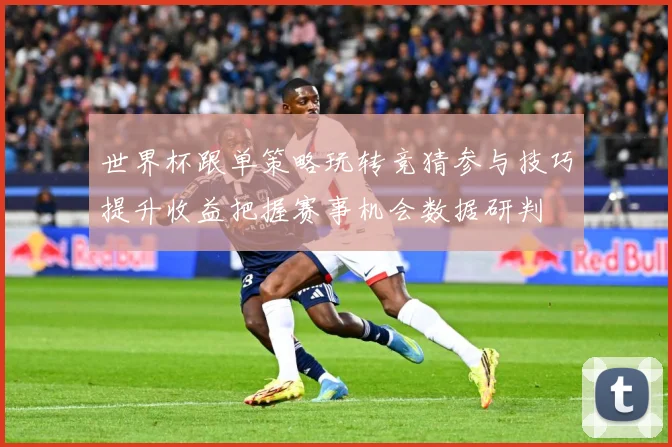 世界杯跟单策略玩转竞猜参与技巧提升收益把握赛事机会数据研判